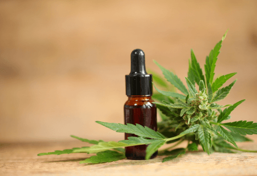 Cbd Link Building Case Study