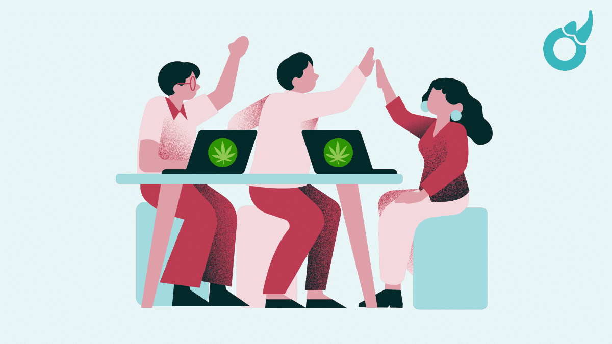 How To Run an SEO Campaign for a Cannabis Company
